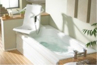 Excalibur lift bath